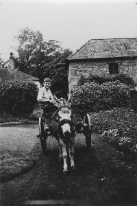 Donal Moloney Riding On A Donkey And Cart